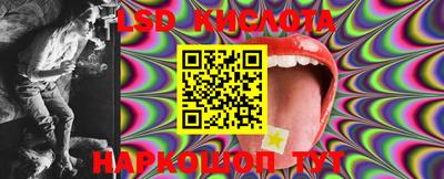 ПСИЛОЦИБИНОВЫЕ ГРИБЫ Можга