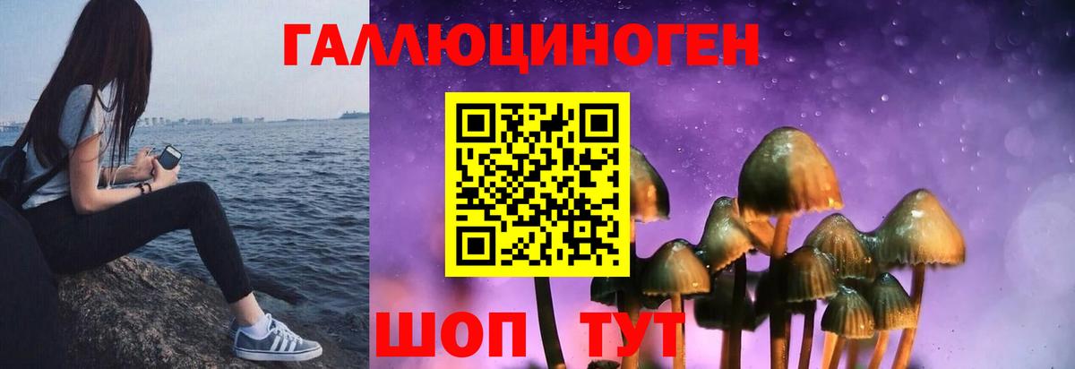 Галлюциногенные грибы Cubensis Белая Калитва