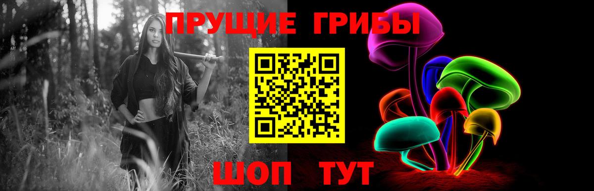 Псилоцибиновые грибы Psilocybine cubensis Белая Калитва